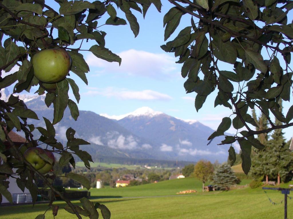 Mitschighof - Und - Heidis-welt, Mitschig Hermagor-Pressegger See